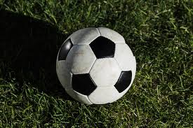 球迷观赛助手场景